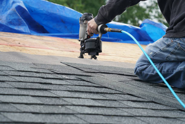 Best Roof Gutter Cleaning  in Algood, TN