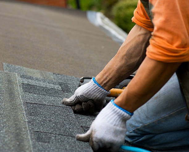 Best Roof Gutter Cleaning  in Algood, TN